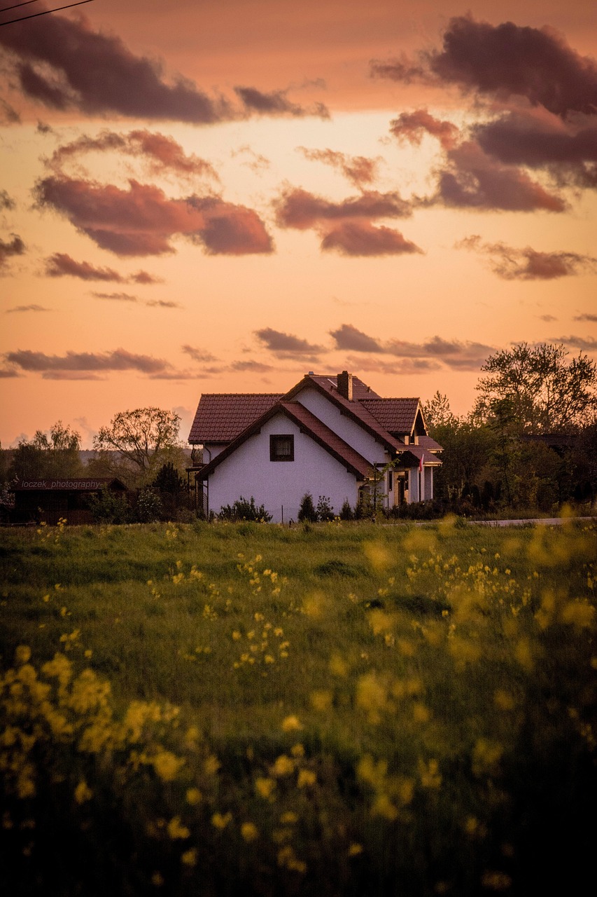 house, flower background, meadow, beautiful flowers, grass, flowers, flower wallpaper, home, building, spring, field, nature, sky, clouds